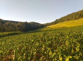 Edifício Vista Bela